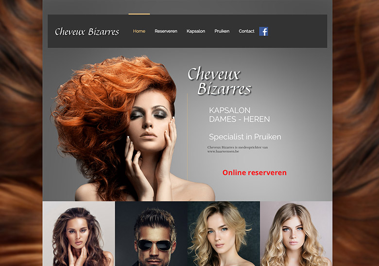 Venosites Webdesign Referentie Cheveux Bizarres
